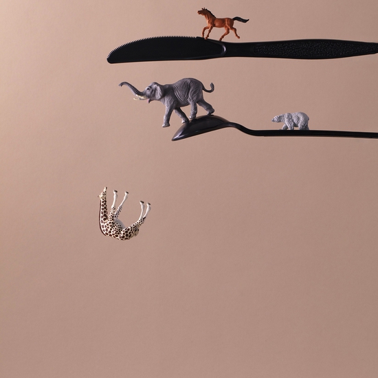 Christopher Boffoli: Plastic Utensils Safari, 2020, Archival pigment print on metallic paper, 24 x 36 inches and other various sizes