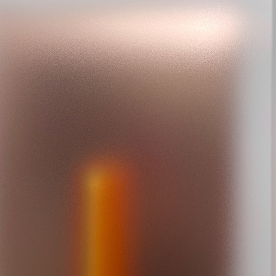 Detail of 'Light Glyph 2026 Rose'
