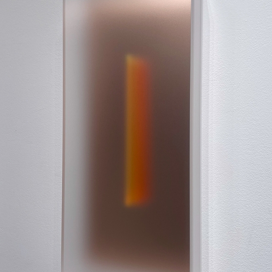 Side view of 'Light Glyph 2026 Rose'