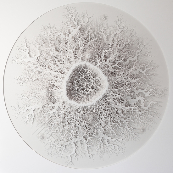 Rogan Brown: Reef Cell Variation, 2019, Cut paper, 34 x 34 x 4 inches