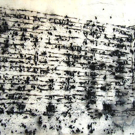 Philippe Cognée: Proliferation #6, 1998, Charcoal, acrylic on paper, 31.5 x 47 inches