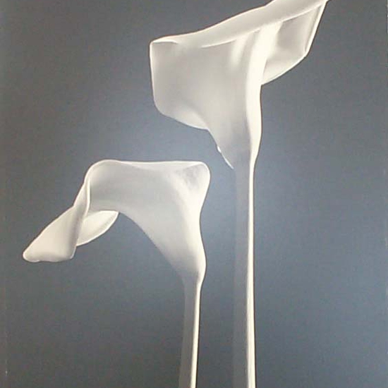 (9003) Two Callas (#568) -- Tom Baril