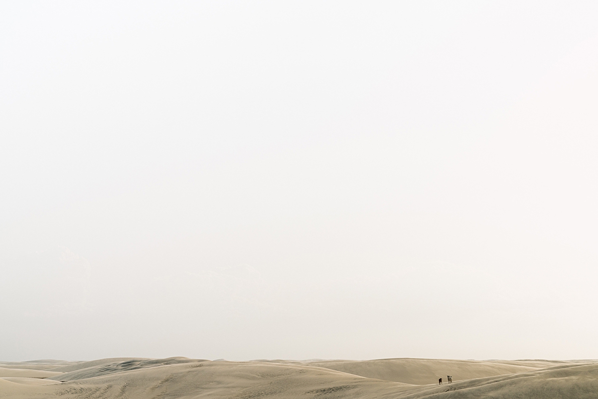 Jessica Cantlin: Just Us, 2019, Archival pigment print, available in various sizes