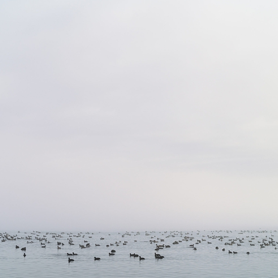 Jessica Cantlin: Migration No. 3, 2017, Archival pigment print, available in various sizes