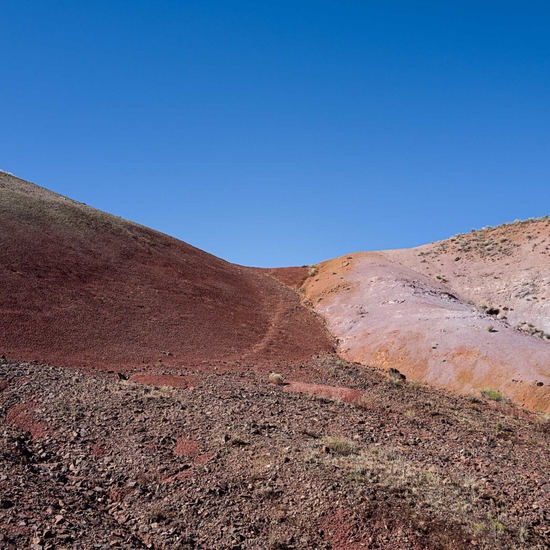 Painted Hills No. 5