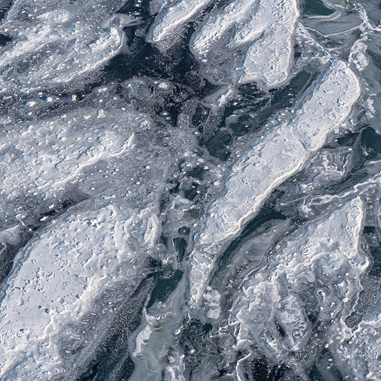 Jessica Cantlin: Whales, 2019, Archival pigment print, available in various sizes