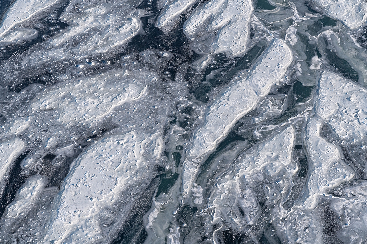 Jessica Cantlin: Whales, 2019, Archival pigment print, available in various sizes