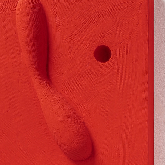 Details of "Apasionado"