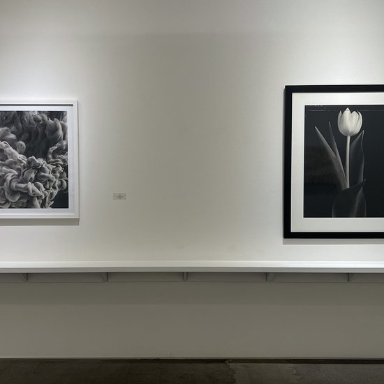 Group Exhibition: Color Blind, Install