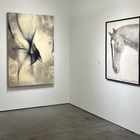 Group Exhibition: Color Blind, Install