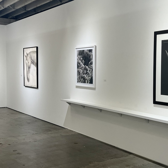 Group Exhibition: Color Blind, Install