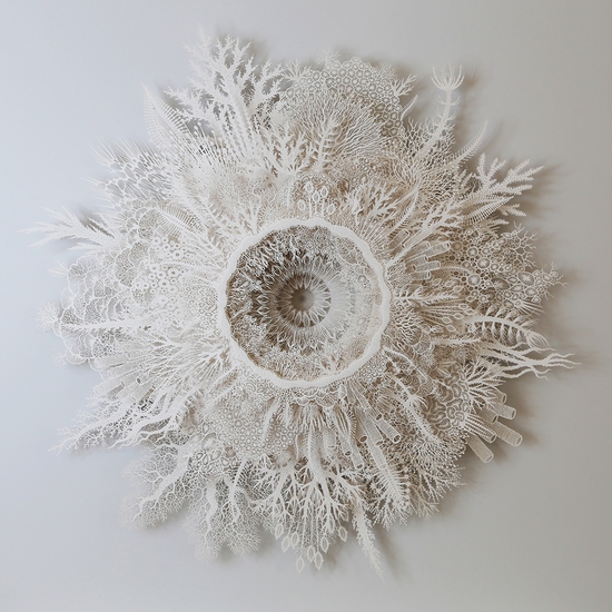Rogan Brown: Coral Flower, 2021, Cut paper, 35.75 x 35.75 x 5.5 inches