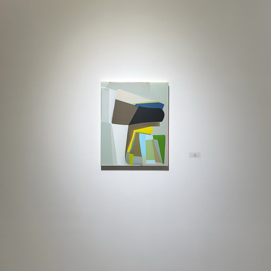 Gallery installation of 'Crown Shy'