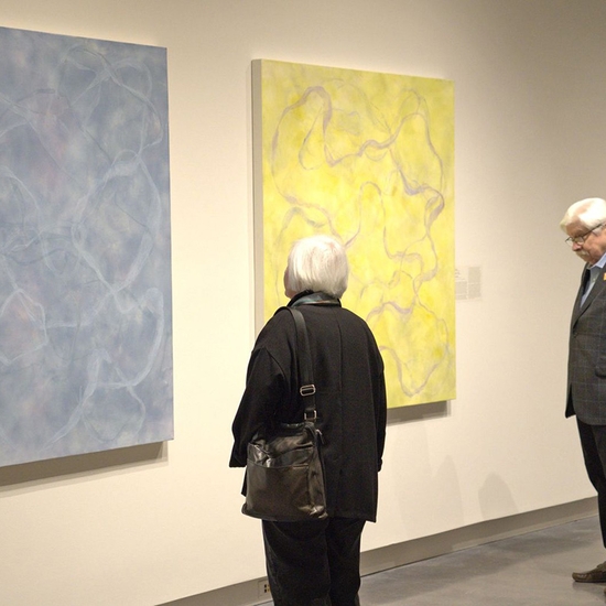 Asheville Art Museum, Women of the Pacific Northwest installation view