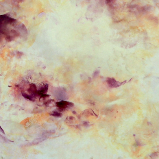 Betsy Eby Aubergine Detail