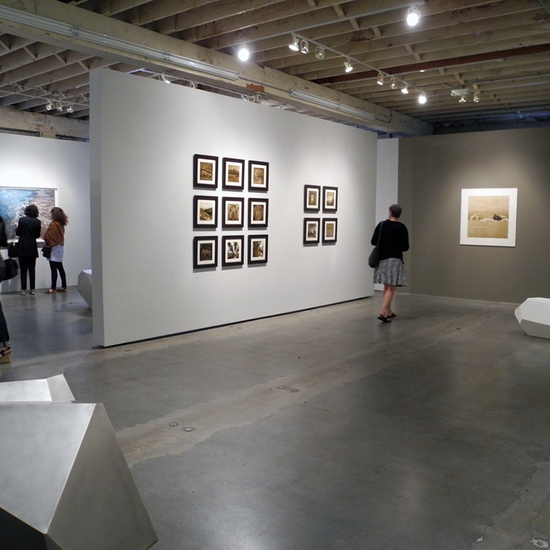 "In Memoriam," 2014 Exhibition with Zaria Forman