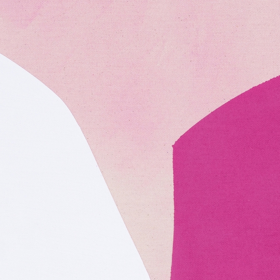 Details of "Horizon Study 1"