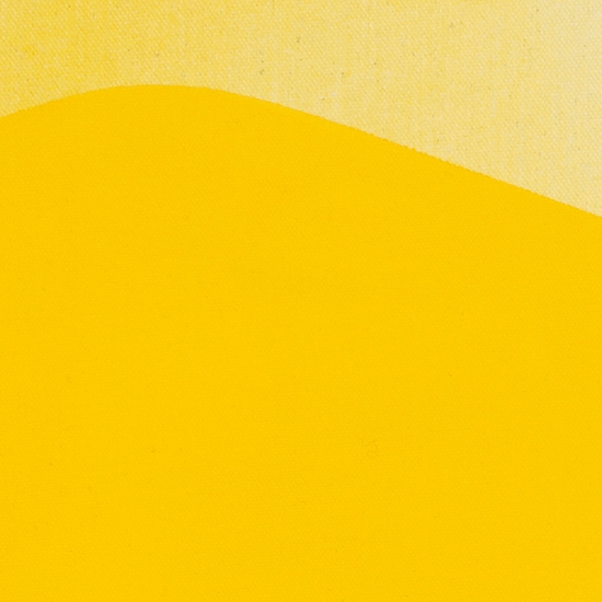 Details of "Horizon Study 3"