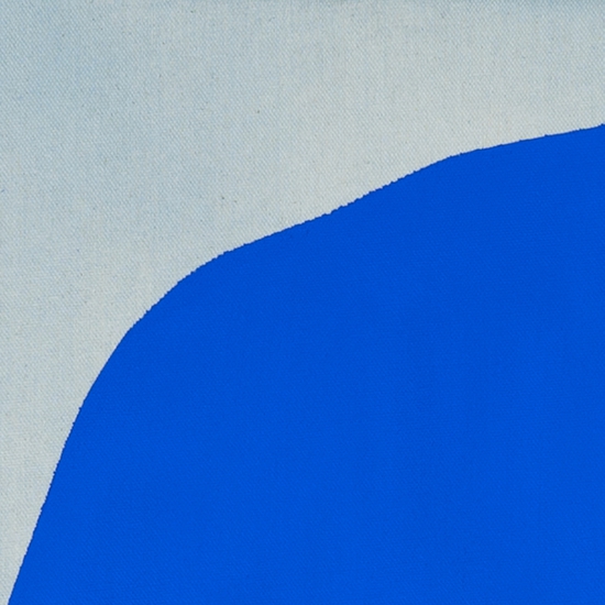 Details of "Horizon Study 5"