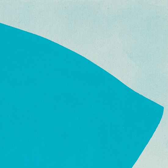 Details of "Horizon Study 2"