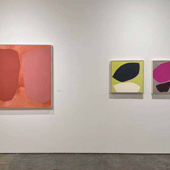 Installation in Mia Farrington's 2024 Solo Exhibition