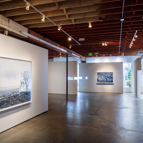Installation view of Antarctica, Forman's 2017 Solo exhibition at Winston Wächter Seattle. Photo by Nick Pironio.