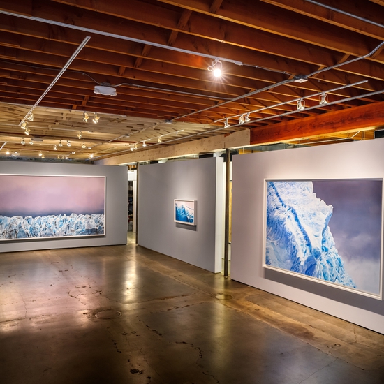 Installation view of Antarctica, Forman's 2017 Solo exhibition at Winston Wächter Seattle. Photo by Nick Pironio.