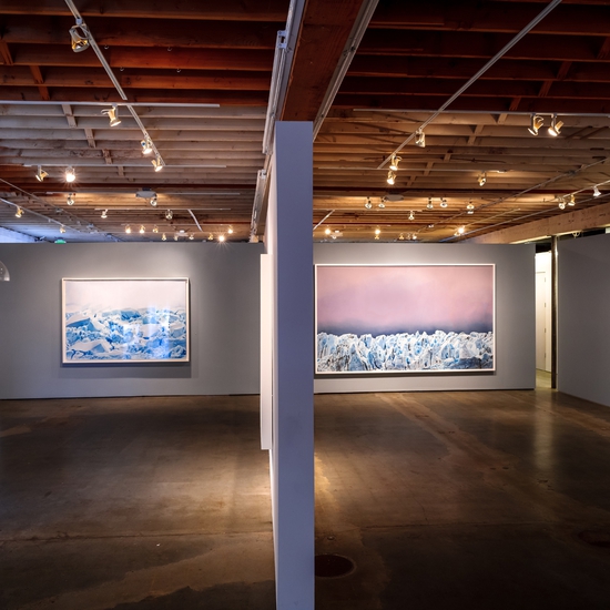 Installation view of Antarctica, Forman's 2017 Solo exhibition at Winston Wächter Seattle. Photo by Nick Pironio.
