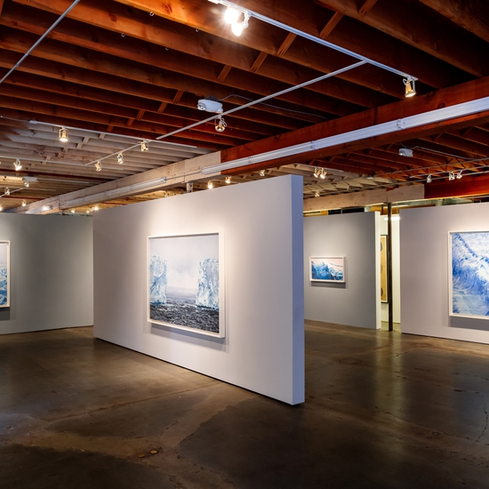 Installation view of Antarctica, Forman's 2017 Solo exhibition at Winston Wächter Seattle. Photo by Nick Pironio.