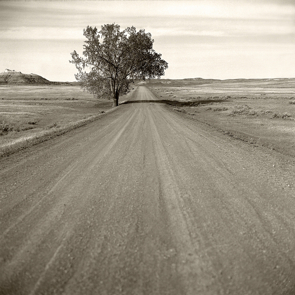 Jules Frazier: Road to Charles Russell, Montana, 1998, 2009, Fine art archival print, 22 x 22 and 40 x 40 inches