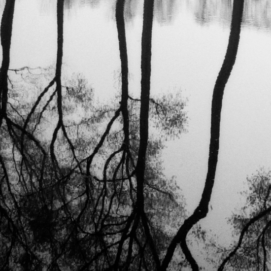 Detail of 'Bruges'