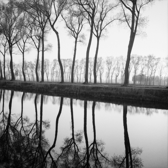 (10469) Bruges -- Sally Gall