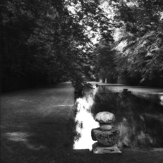 (10465) Courance -- Sally Gall
