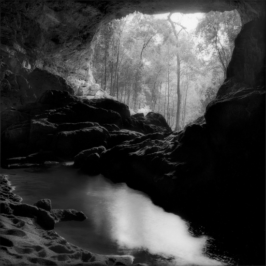 Sally Gall: Oasis, 1999, Archival pigment print, 19 x 19 inches, 30 x 30 inches, and 50 x 50 inches