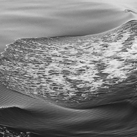 Detail of 'Pacific'