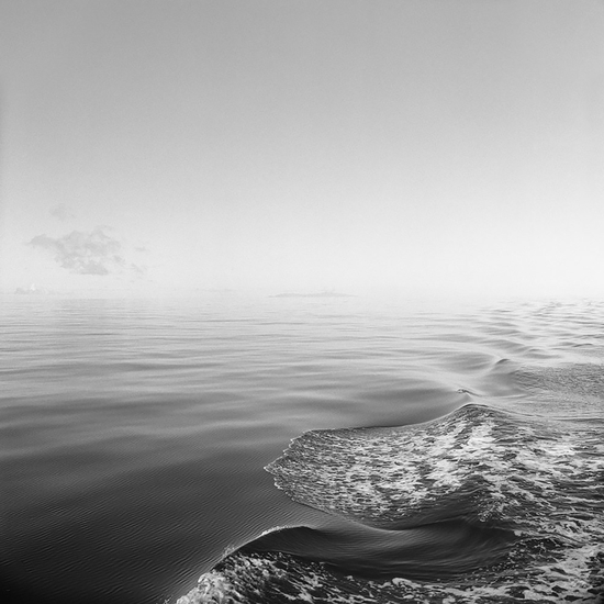 (10462) Pacific -- Sally Gall