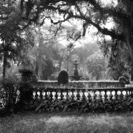 (10467) Rio, Botanical Garden #3 -- Sally Gall
