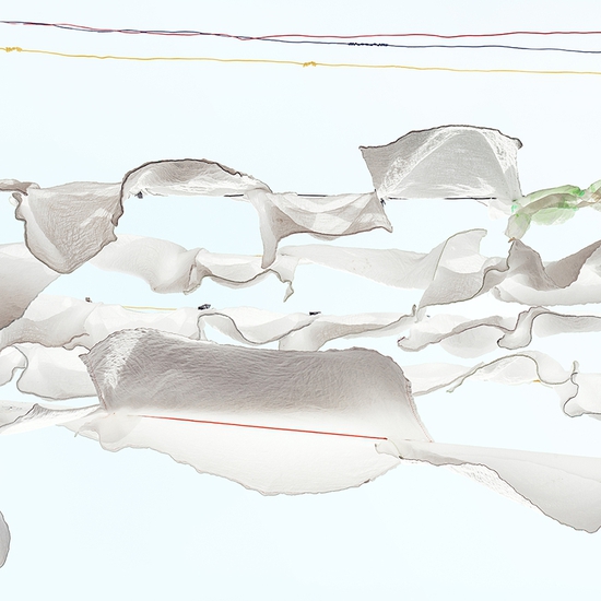 Sally Gall: Tell-tale, 2015, Archival pigment print, 26 x 40 inches and 33 x 50 inches