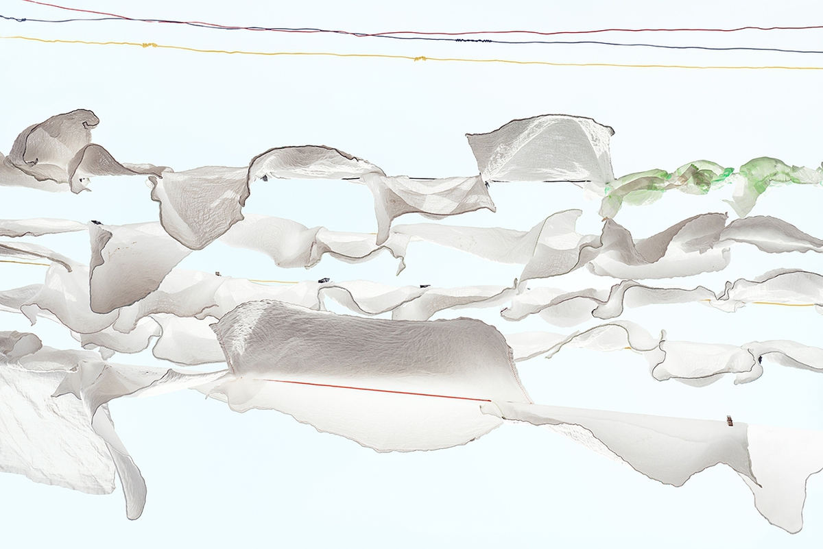 Sally Gall: Tell-tale, 2015, Archival pigment print, 26 x 40 inches and 33 x 50 inches