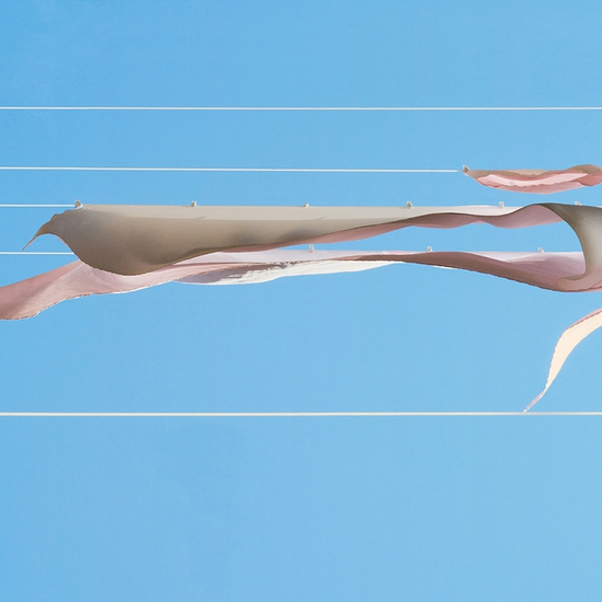 (10471) Zephyr -- Sally Gall