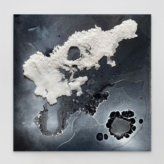 Alva Gallagher: Hoars Frost, Cast plaster and resin, 24 x 24 x 0.5 inches