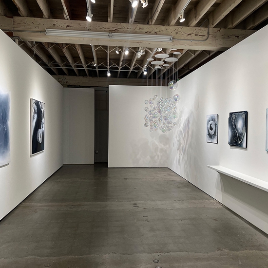 'Into The Deep' Solo 2024 Exhibition