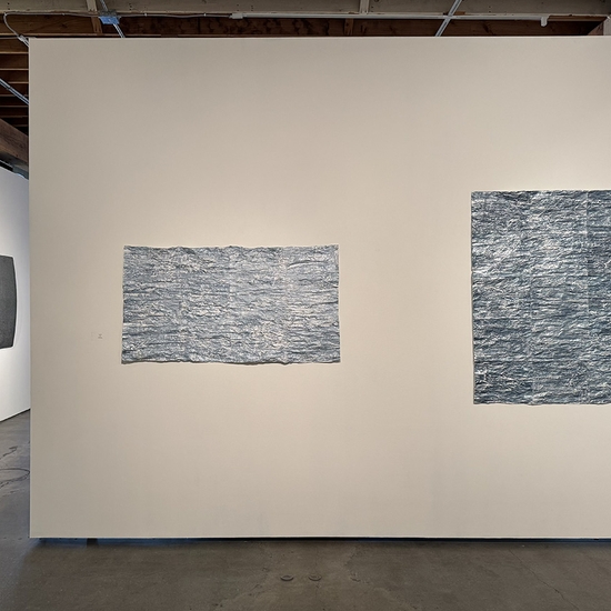 Ann Gardner, The Color of Light, Install