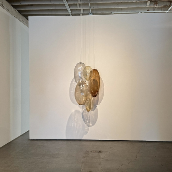 Ann Gardner, The Color of Light, Install