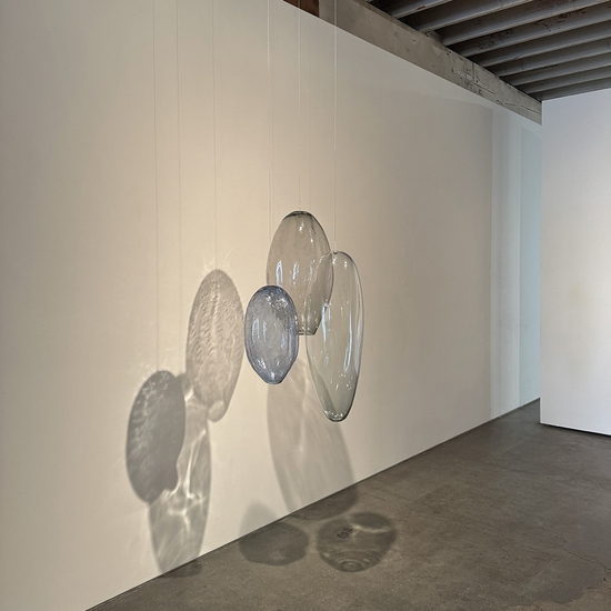Ann Gardner, The Color of Light, Install