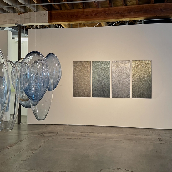 Ann Gardner, The Color of Light, Install