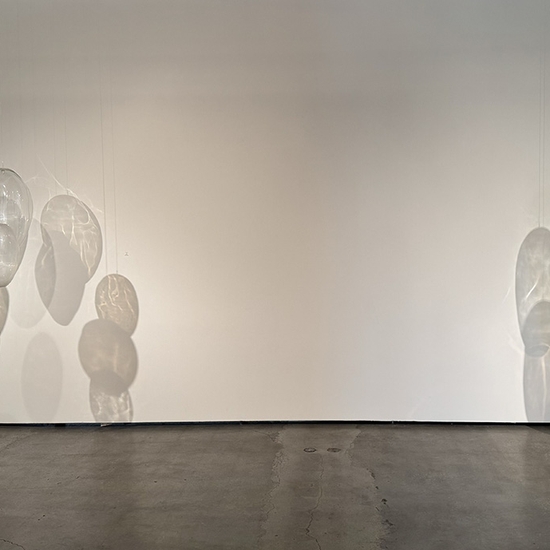 Ann Gardner, The Color of Light, Install