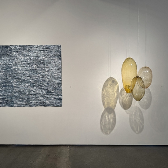 Ann Gardner, The Color of Light, Install