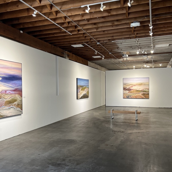 Installation in Phillip Govedare's 2024 Solo Exhibition