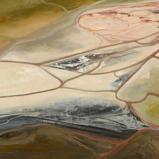 Detail of 'Shaniko'